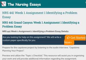 NRS 441 Week 1 Assignment 1 Identifying a Problem Essay